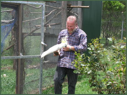 Peter and cockatoo outside the aviary