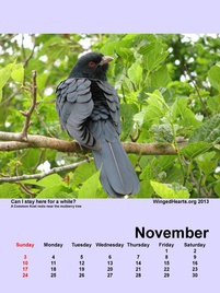 Winged Hearts Calendar 2013