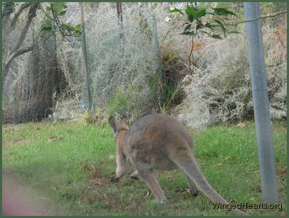 Wait! Why the hurried getaway?